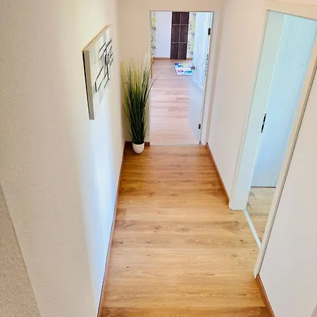 Bachlauf Mit Grosser Terrasse Von Harztraveler Appartement *