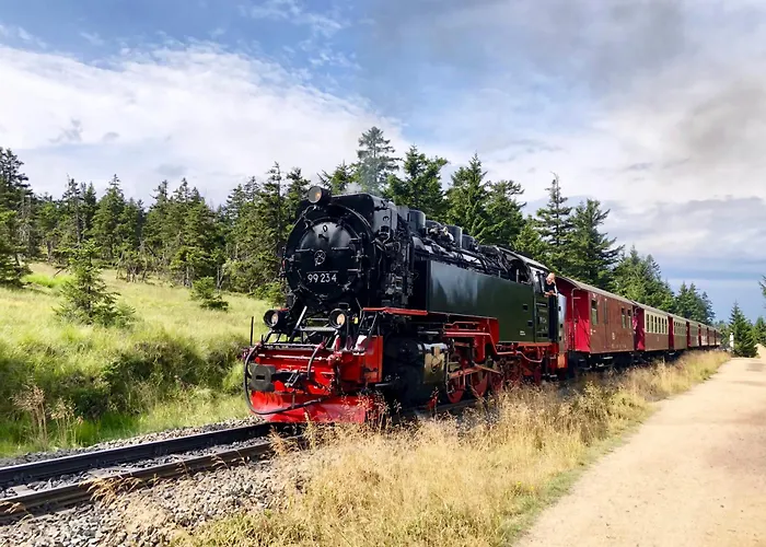 公寓 Bachlauf Mit Grosser Terrasse Von Harztraveler *