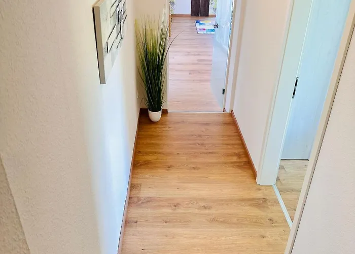 Bachlauf Mit Grosser Terrasse Von Harztraveler 公寓 *